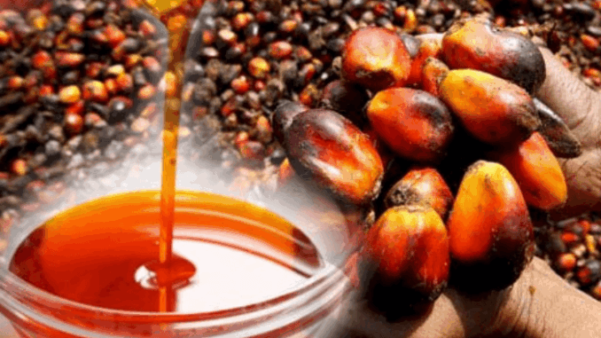 Palm-Oil